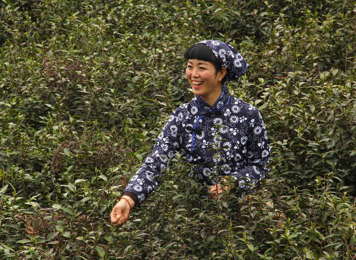 罪恶城市